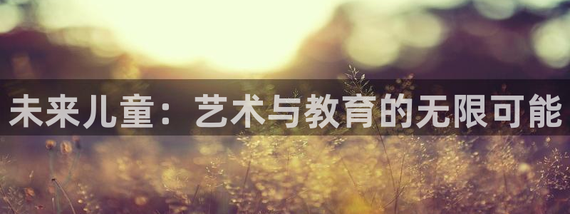 FH至尊是什么意思