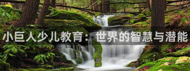 fh至尊怎么没有了