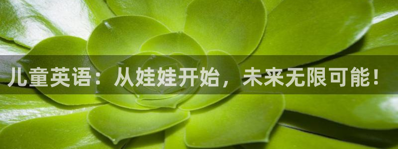 fh至尊平台黑钱