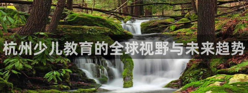 fh至尊是黑台子吗