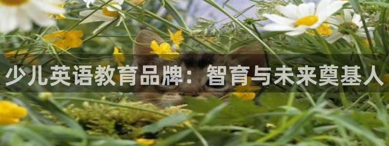 fh凤凰至尊