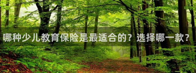 凤凰至尊FH正常登录