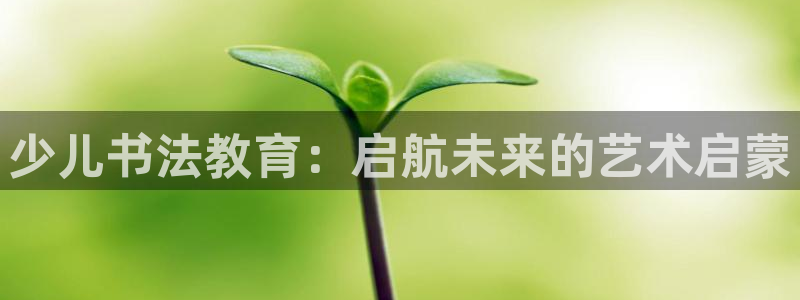 FH至尊平台是什么平台