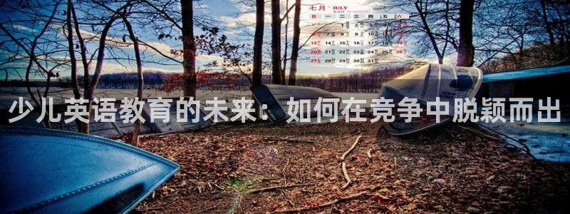 fh凤凰至尊版