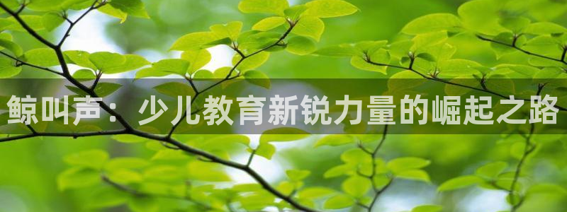 fh至尊平台APP