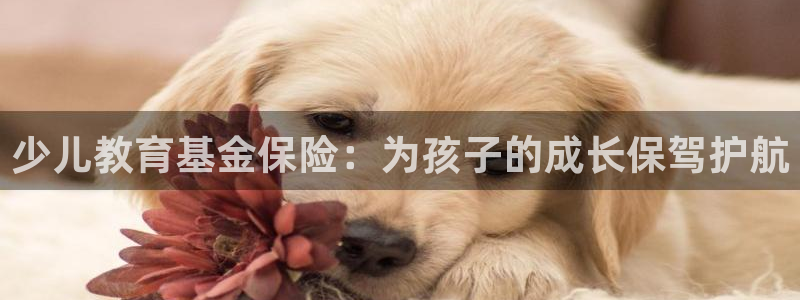 至尊FH