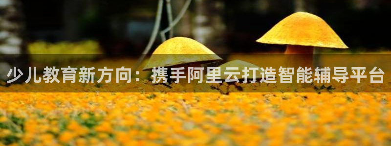 FH至尊怎么样