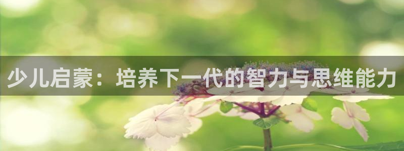 fh至尊是什么牌子