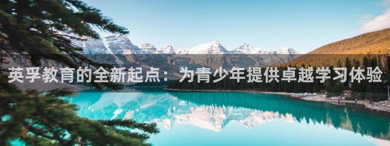 fh至尊假不假