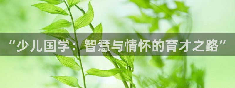 fh至尊凤凰