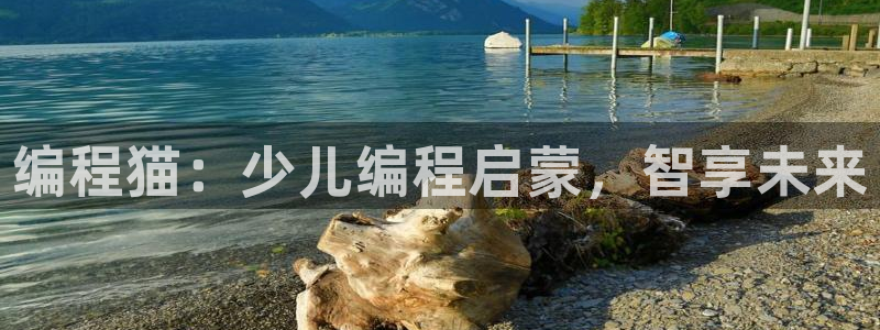 fh至尊20