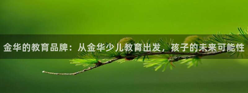 FH至尊官方入口