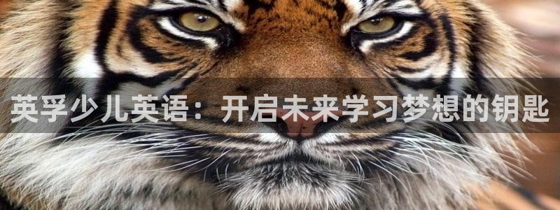 FH至尊出问题了