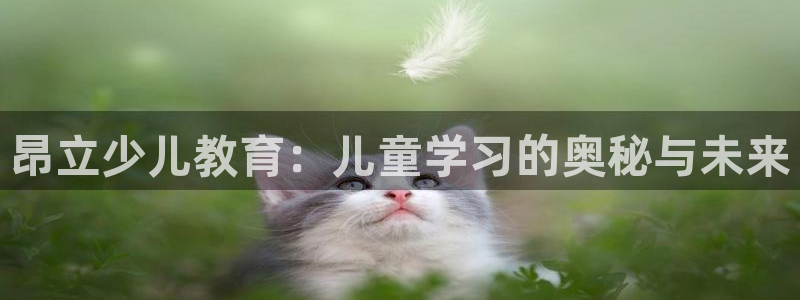 fh至尊平台怎么打不开了呢