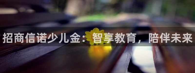 fh至尊平台简介
