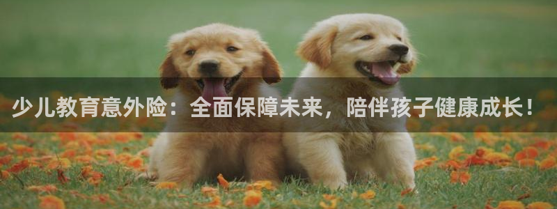 fh至尊吧百度贴吧