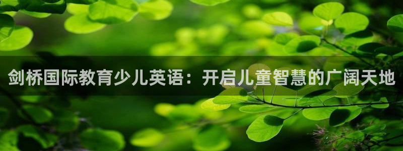 老凤凰改名FH至尊黑钱