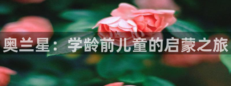 fh至尊游戏玩法