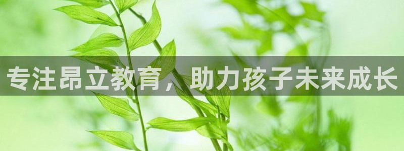 fh至尊多少年了