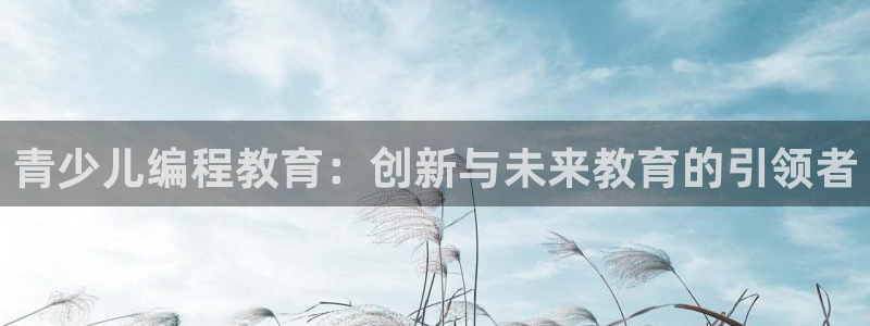 fh至尊是老凤凰吗