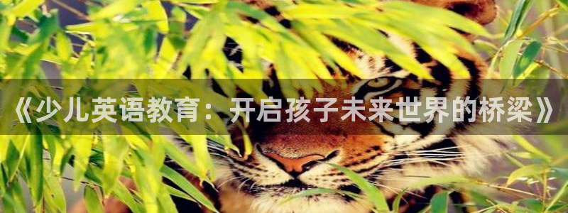 FH至尊开户