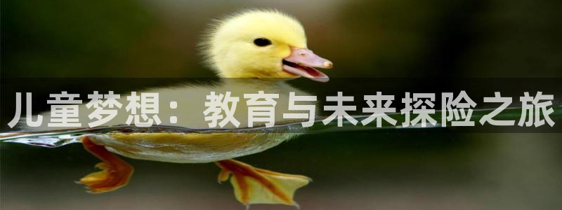 fh至尊20