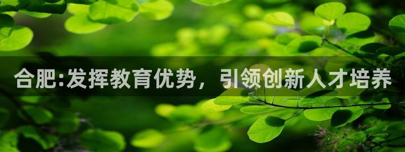 FH至尊开户链接