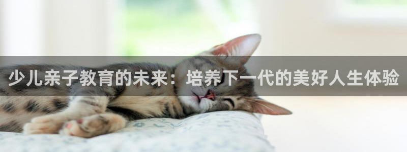 fh至尊安全吗