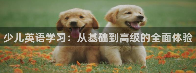 fh至尊平台网页地址