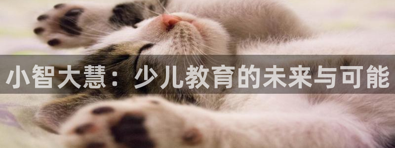 FH至尊是正规平台吗