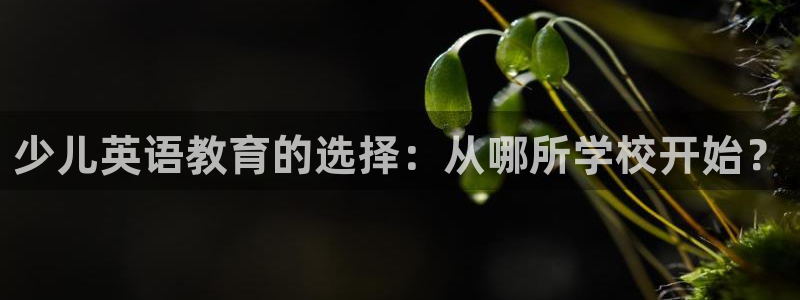 FH至尊娱乐下载二维码