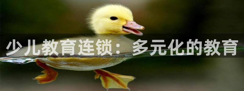 fh至尊游戏彩票