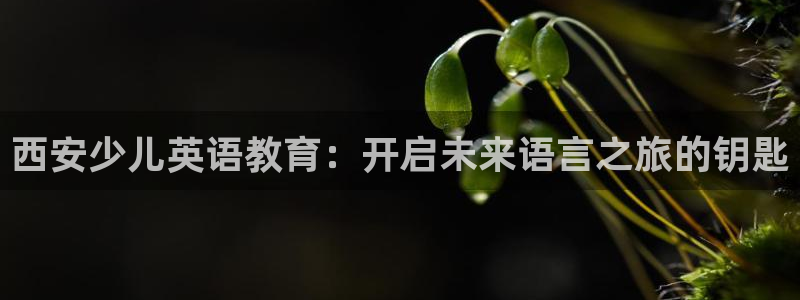 fh至尊app下载安装