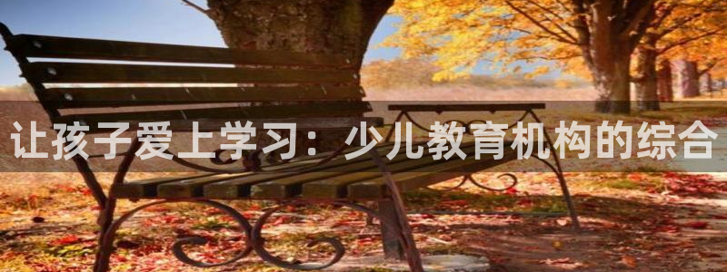 FH-FH至尊版的功能