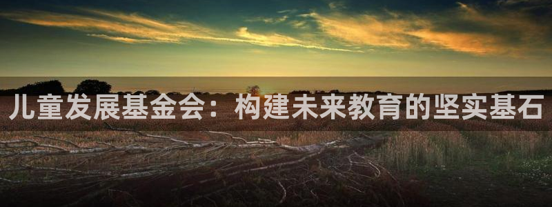 FH至尊是正规平台吗