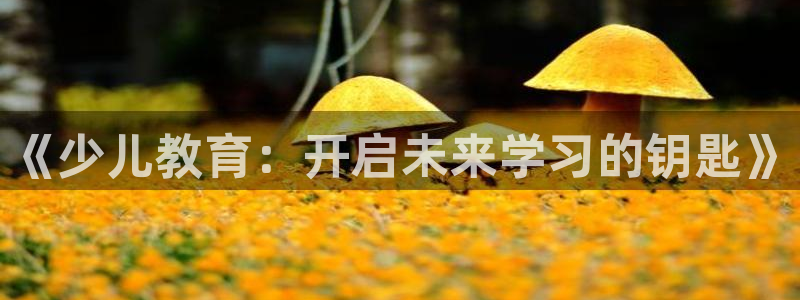 FH至尊平台是什么平台