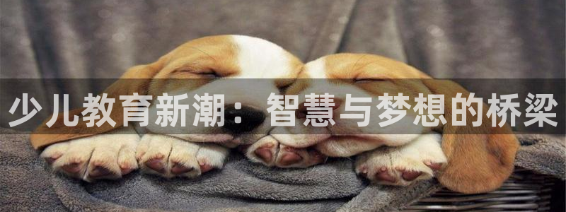 fh至尊游戏代理