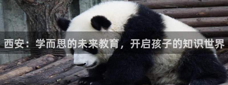 fh至尊怎么改密码