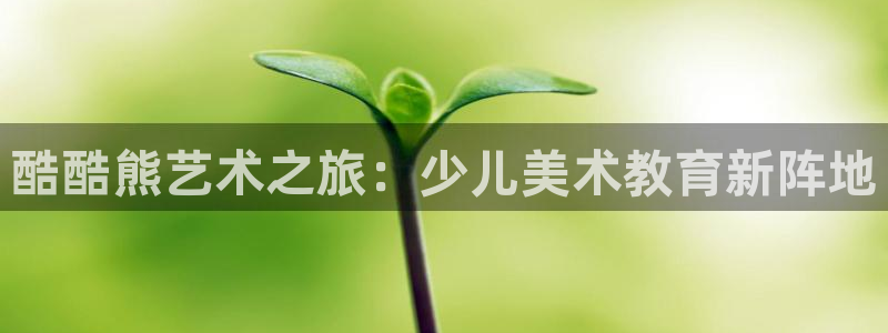 fh至尊普通登录