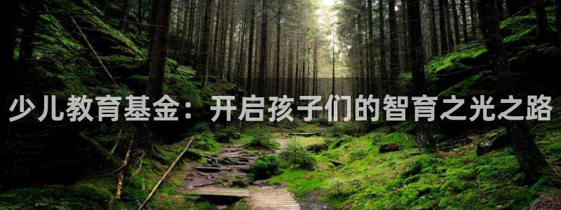 fh至尊平台正常登录