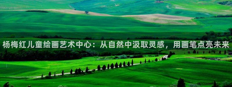 凤凰至尊fh凤凰版0a