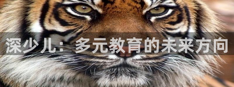 fh至尊凤凰消息的范本