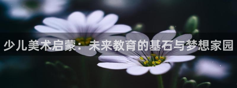 fh至尊游戏客服