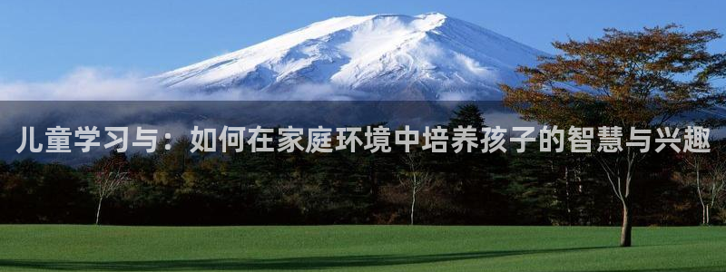 凤凰至尊fh凤凰版0a