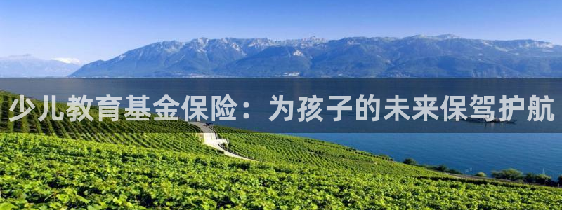 fh至尊平台正常登录